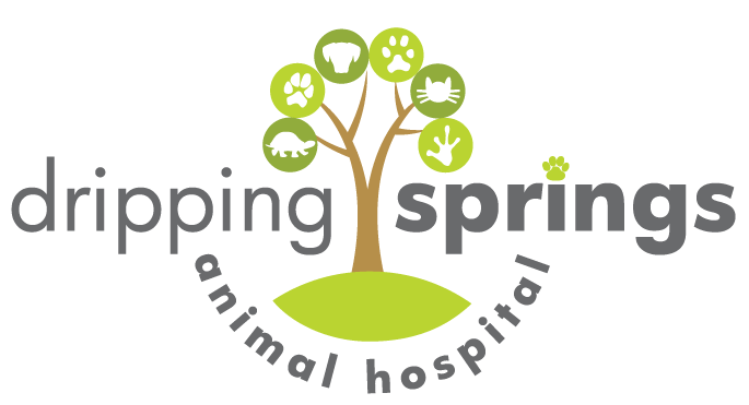 Dripping Springs Animal Hospital