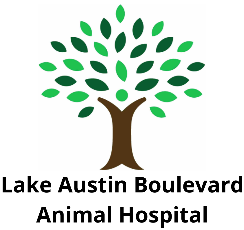Lake Austin Boulevard Animal Hospital