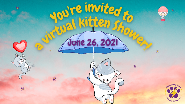 kitten shower